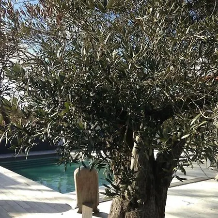 26 Pax Bassin Arcachon